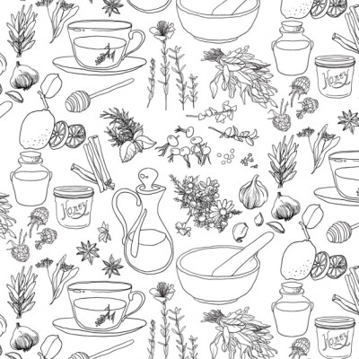 Gezeichnete Zutaten und Kräuter, schwarz auf weiß