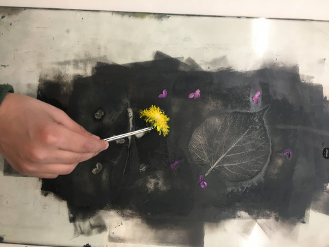 Hand legt Löwenzahnblüte auf ein Papier mit schwarzer Druckfarbe, auf der auch ein Lindenbaumblatt zu sehen ist.